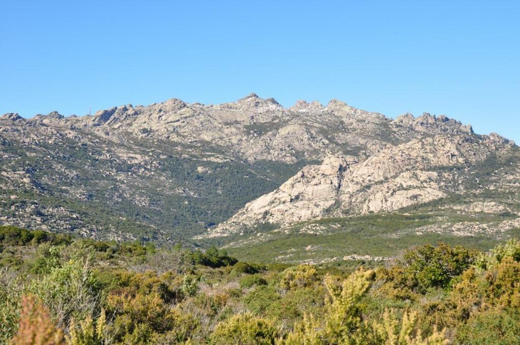 Вілла Sardegna Vicino Ad Olbia "La Casa Nel Vicolo" Беркідда Екстер'єр фото