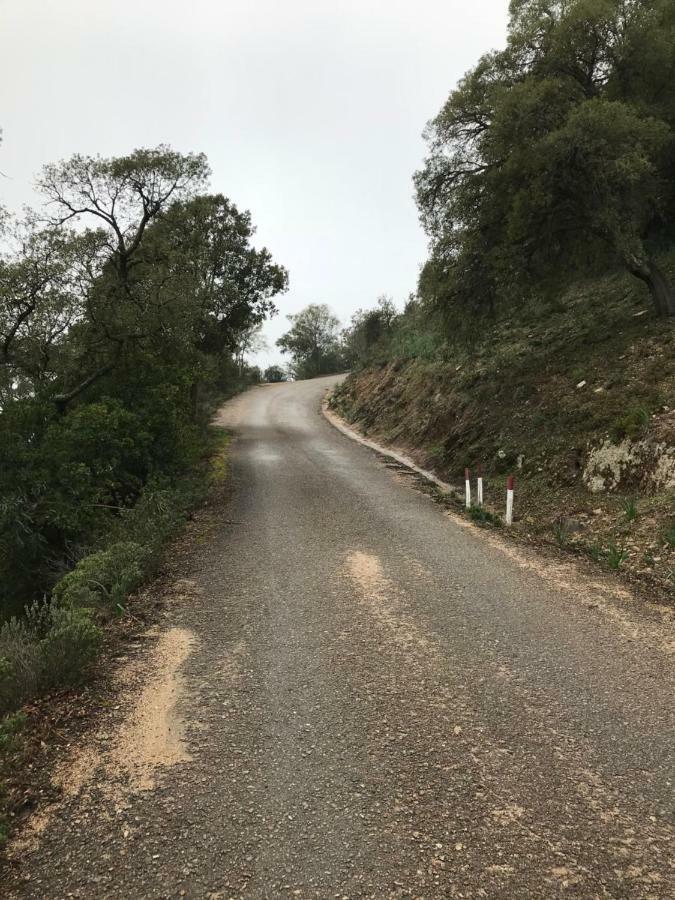 Вілла Sardegna Vicino Ad Olbia "La Casa Nel Vicolo" Беркідда Екстер'єр фото