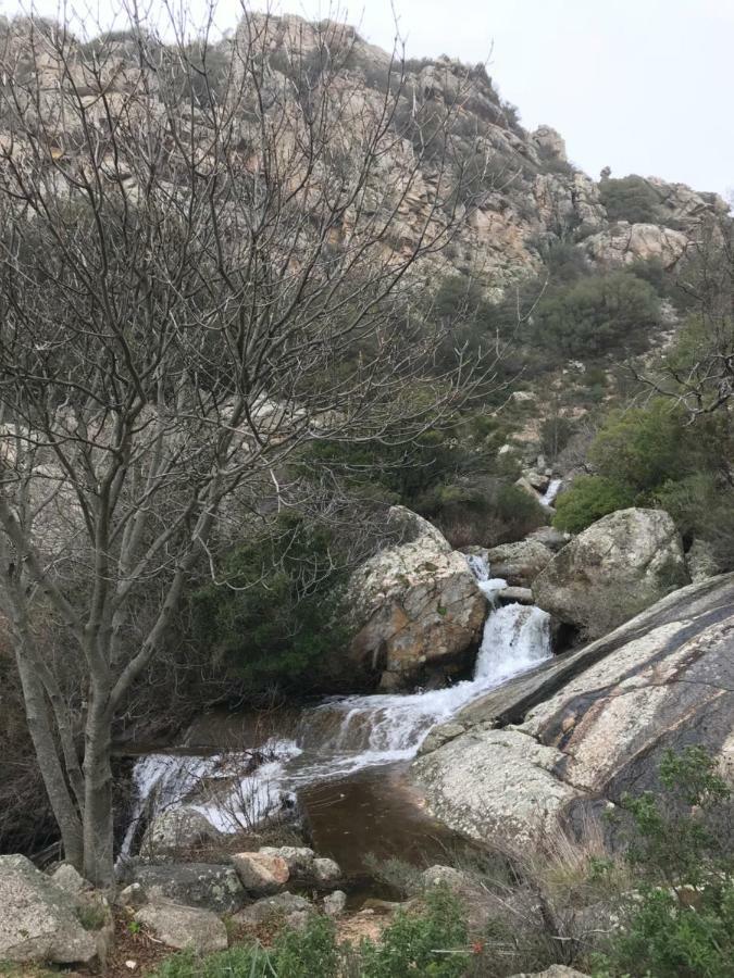 Вілла Sardegna Vicino Ad Olbia "La Casa Nel Vicolo" Беркідда Екстер'єр фото