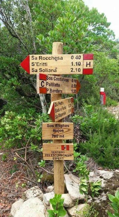 Вілла Sardegna Vicino Ad Olbia "La Casa Nel Vicolo" Беркідда Екстер'єр фото