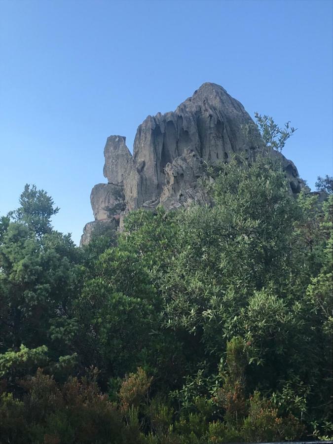 Вілла Sardegna Vicino Ad Olbia "La Casa Nel Vicolo" Беркідда Екстер'єр фото